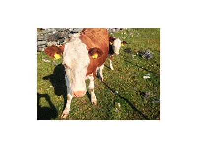 Holiday house Bullerby - Document photo 43