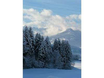 Apartment Ferienwohnung Achhorner - Outdoor photo 15