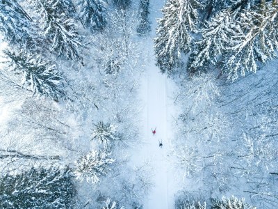 Apartment Ferienwohnung Achhorner - Outdoor photo 20