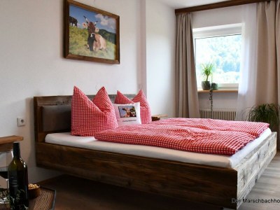 Apartment Schwemmblick - Outdoor photo 8