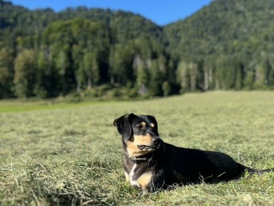 Apartment Schwemmblick - Outdoor photo 18