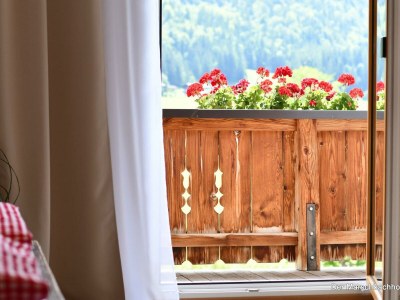 Apartment Schwemmblick - Outdoor photo 21