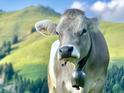 Apartment Schwemmblick - Outdoor photo 22