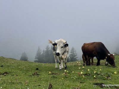 Apartment Schwemmblick - Outdoor photo 23