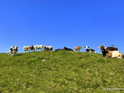 Apartment Schwemmblick - Outdoor photo 24