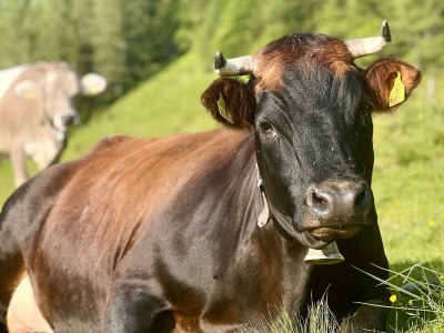 Apartment Schwemmblick - Outdoor photo 25