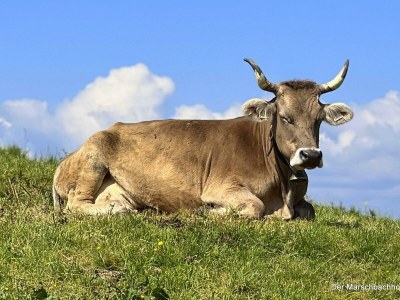 Apartment Schwemmblick - Outdoor photo 26