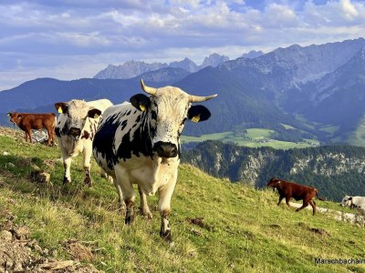 Apartment Schwemmblick - Outdoor photo 27