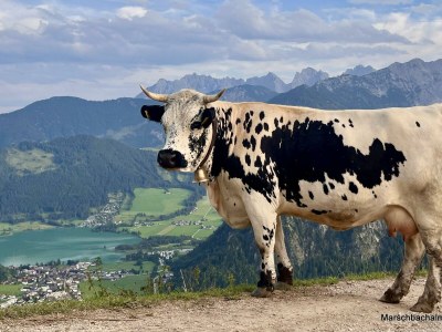 Apartment Schwemmblick - Outdoor photo 28