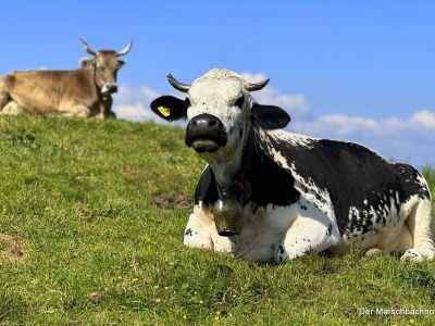 Apartment Schwemmblick - Outdoor photo 29