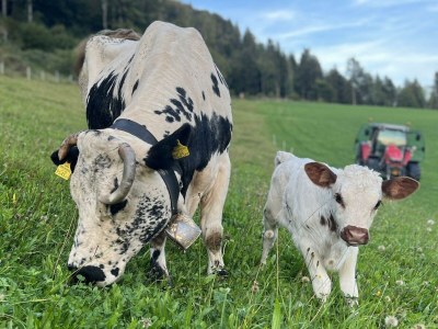 Apartment Schwemmblick - Outdoor photo 30