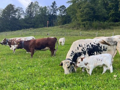 Apartment Schwemmblick - Outdoor photo 31