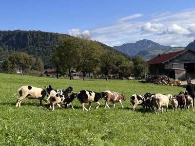 Apartment Schwemmblick - Outdoor photo 32