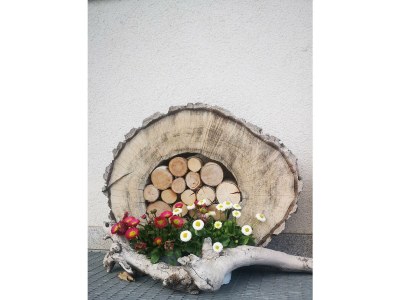 Apartment Boutique Apartment Kaiserwinkl in Schwendt - Apartment