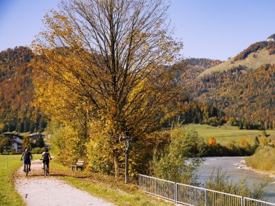 Apartment Appartement/Fewo, Dusche, WC, gartenseitig - Outdoor photo 9