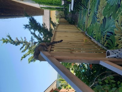 Apartment Appartement/Fewo, Dusche, WC, 1 Schlafraum - Outdoor photo 44