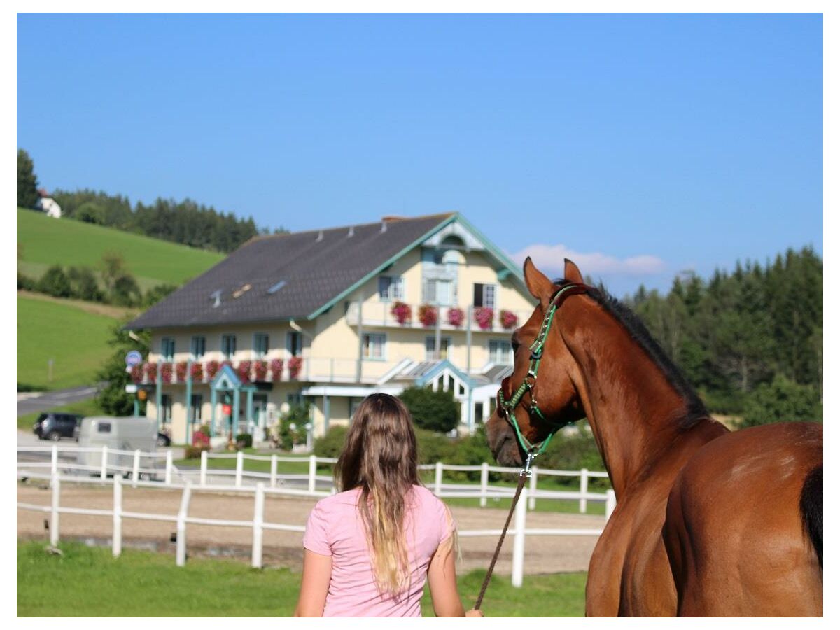 Apartment Hotelappartement, Dusche und Badewanne, poolseitig
