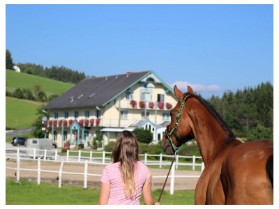 Apartment Hotelappartement, Dusche und Badewanne, poolseitig in St. Jakob im Walde - Apartment