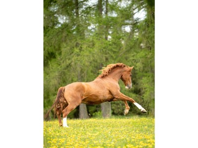 Apartment Hotelappartement, Dusche und Badewanne, poolseitig - Outdoor photo 5