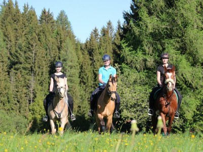 Apartment Hotelappartement, Dusche und Badewanne, poolseitig - Outdoor photo 8