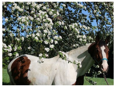 Apartment Hotelappartement, Dusche und Badewanne, poolseitig - Outdoor photo 17