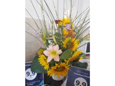 Apartment Ferienhaus Planetz - Outdoor photo 5