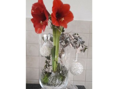 Apartment Ferienhaus Planetz - Outdoor photo 6