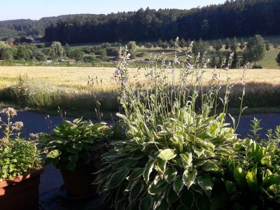 Apartment Ferienhaus Planetz - Outdoor photo 28