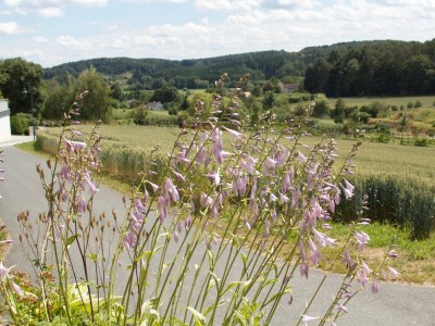 Apartment Ferienhaus Planetz - Outdoor photo 29