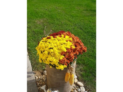 Apartment Ferienhaus Planetz - Outdoor photo 34