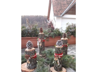 Apartment Ferienhaus Planetz - Outdoor photo 37