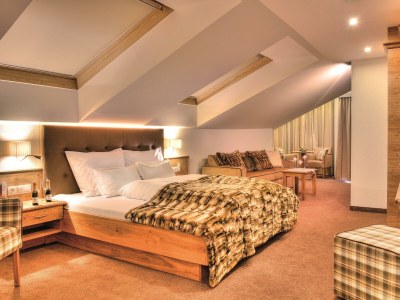 Holiday room Panorama Suite mit Balkon - Features photo 14