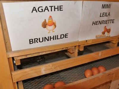 Apartment Appartement "Lackenkogel" - Outdoor photo 12