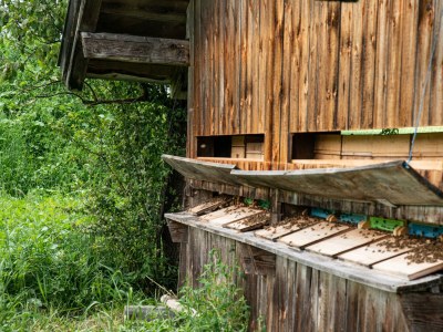 Apartment Appartement "Lackenkogel" - Outdoor photo 22