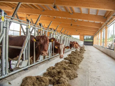 Apartment Appartement "Lackenkogel" - Outdoor photo 35