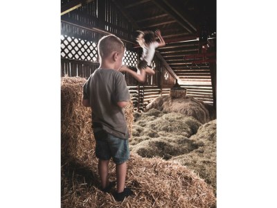 Apartment Appartement "Lackenkogel" - Outdoor photo 42