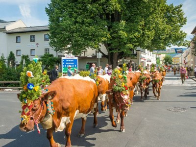 Apartment Appartement "Lackenkogel" - Outdoor photo 104