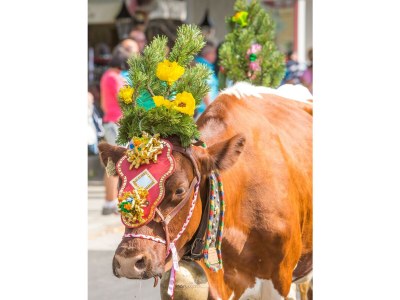Apartment Appartement "Lackenkogel" - Outdoor photo 106