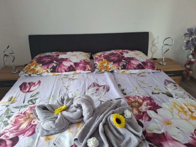 Apartment Ferienwohnung - Outdoor photo 24