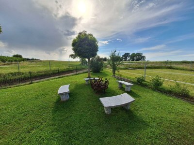 Apartment Ferienwohnung - Outdoor photo 50