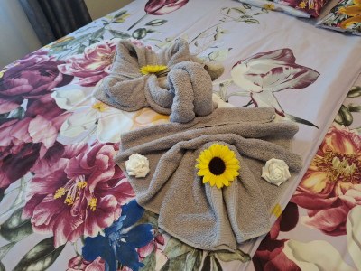 Apartment Ferienwohnung - Features photo 76