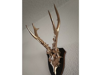 Apartment Ferienhaus Strassgartl - Features photo 73