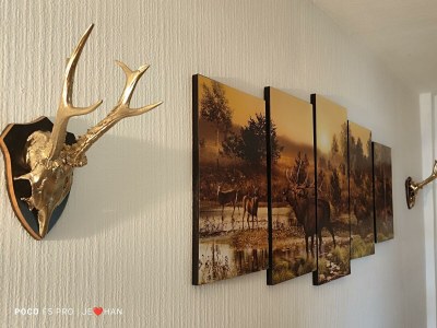 Apartment Ferienhaus Strassgartl - Features photo 76