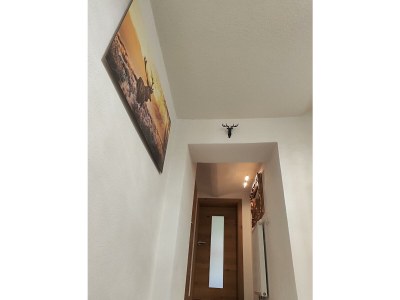 Apartment Ferienhaus Strassgartl - Features photo 78