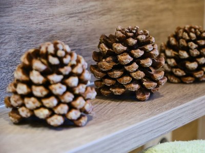 Apartment Appartement Gipfelglück - Features photo 42