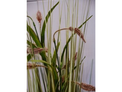 Apartment Appartement Gipfelglück - Features photo 53