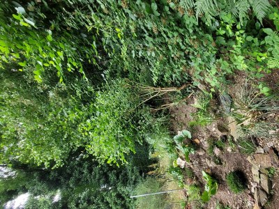 Apartment Ferienhaus, Dusche, WC, 2 Schlafräume - Outdoor photo 42