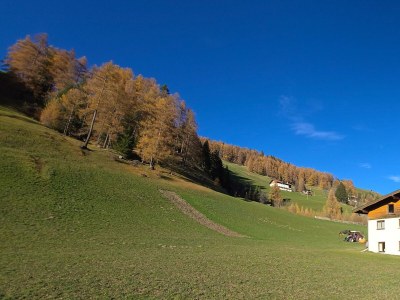 Apartment Ferienwohnung 1 - Outdoor photo 14