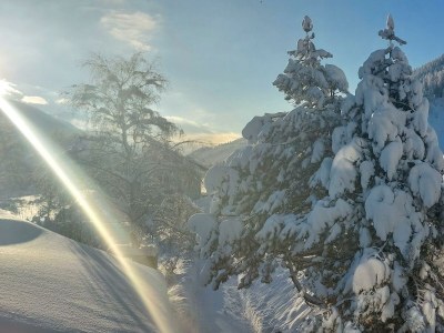 Apartment Appartement 1 - Outdoor photo 10