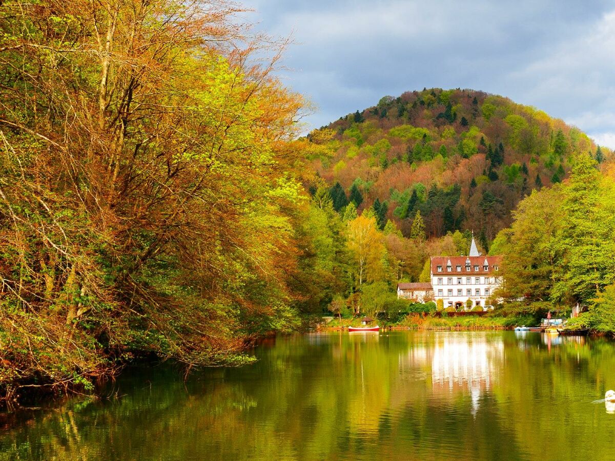 Holiday room Einzelzimmer BASIC